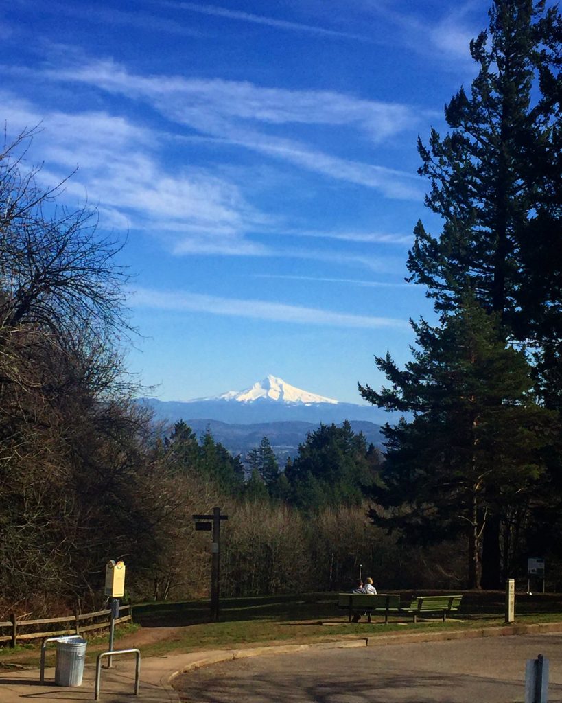 Portland Heights Peggy Reaume